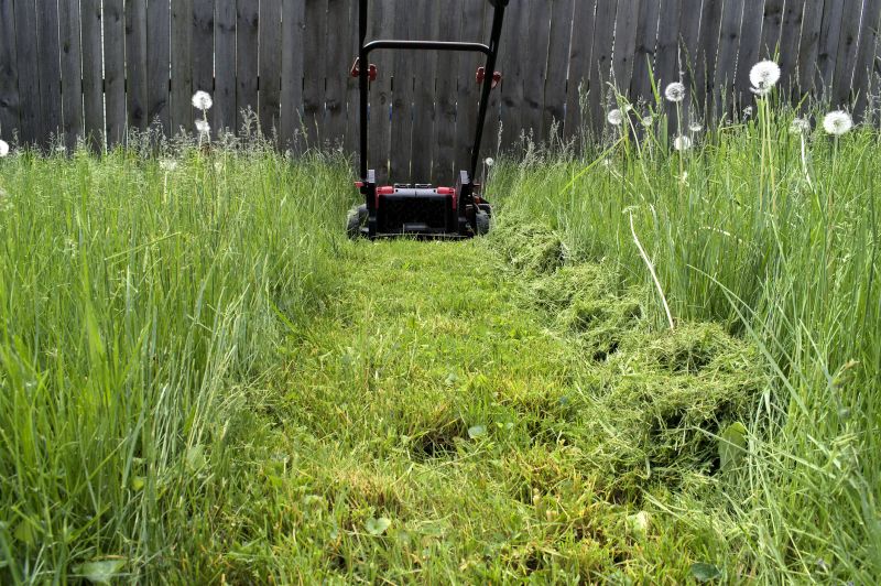 Garden Mowing